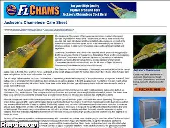 jacksonschameleoncaresheet.com