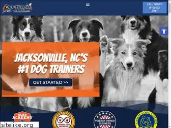 jacksonvillencdogtraining.com
