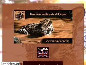 jaguar.org.mx