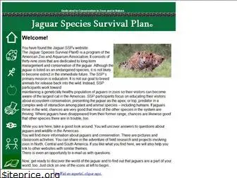jaguarssp.net