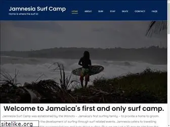 jamnesiasurf.com