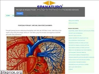 jantung.spanaturo.com