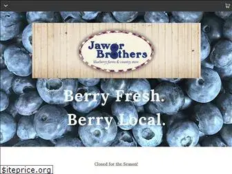 jaworblueberries.com