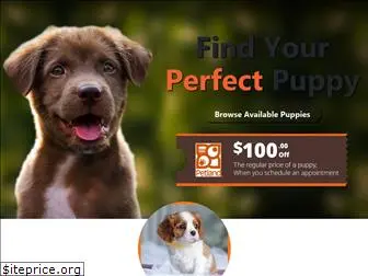 jaxpetland.com