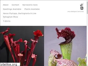 jerryaddingtonssarracenia.com