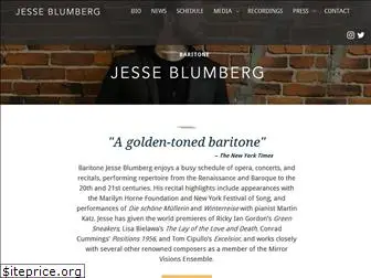 jesseblumberg.com