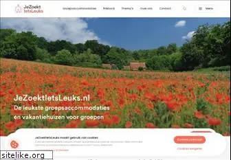 jezoektietsleuks.nl