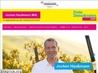 jochen-haussmann-fdp.de