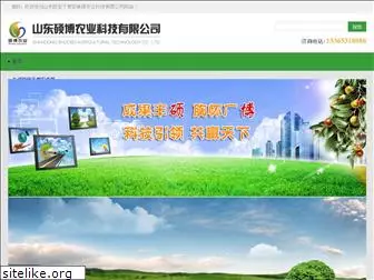 judaohang.com