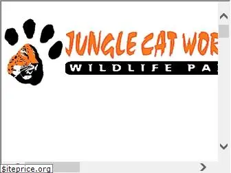 junglecatworld.com