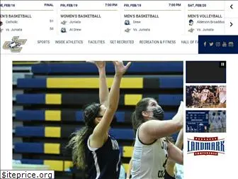 juniatasports.net