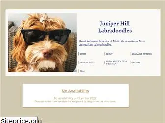 juniperhilllabradoodles.com