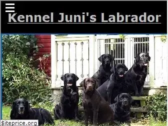 junis-labrador.dk