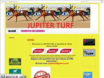 jupiterturf.blogspot.com