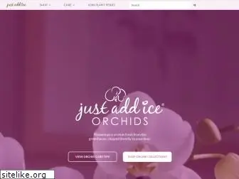 justaddiceorchids.com