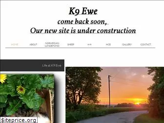 k9ewe.com