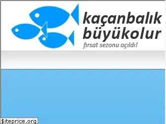 kacanbalikbuyukolur.com