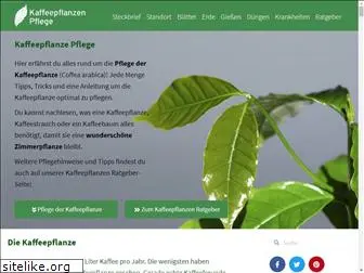 kaffeepflanze-pflege.de