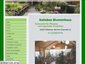 kaliebes-blumenhaus.de
