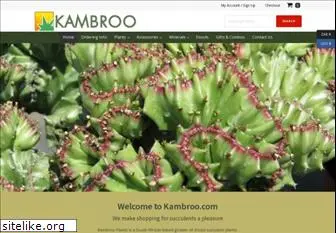 kambroo.com