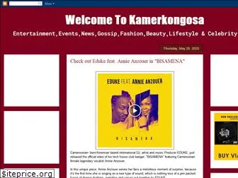 kamerkongosa.com