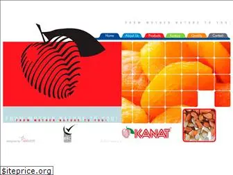 kanat-tr.com