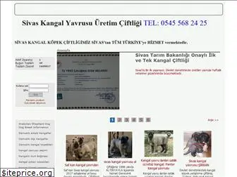 kangalyavrusu.net