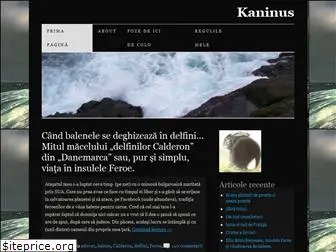 kaninusferoingus.wordpress.com