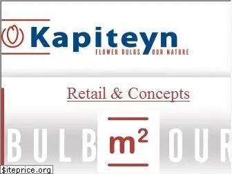 kapiteyn.com