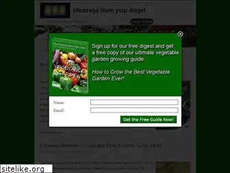 karensgardentips.com