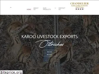 karooexports.com