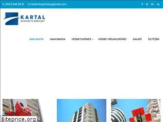 kartalasansorlunakliyat.com