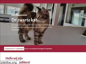 kattenpensiondezwartekat.nl