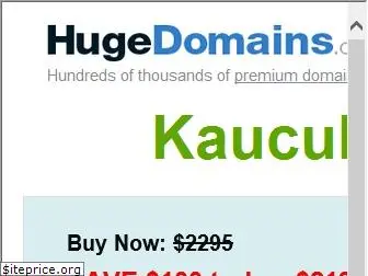 kaucukzemin.com