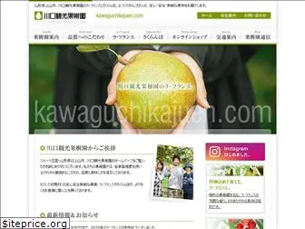 kawaguchikajuen.com