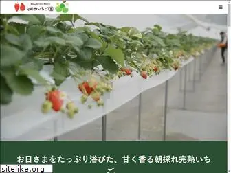 kawanishi-farm.com