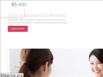 kayaarabuluculuk.com