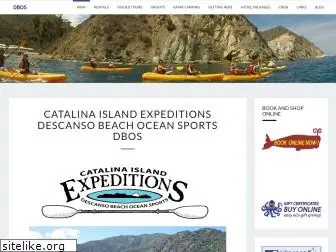 kayakcatalinaisland.com