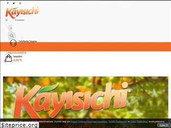 kayisichi.com