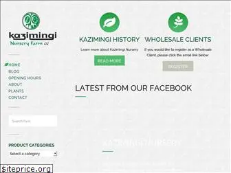 kazimingi.co.za