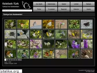 kelebek-turk.com