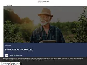 kerrisgroup.com