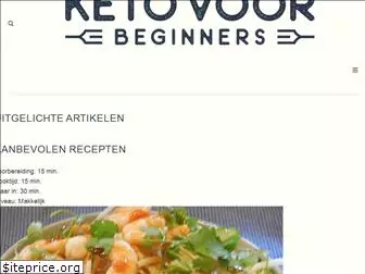 ketovoorbeginners.com