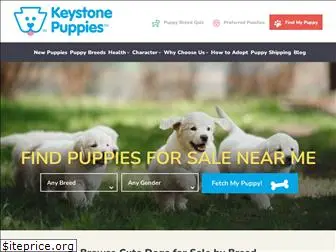 keystonepuppies.com