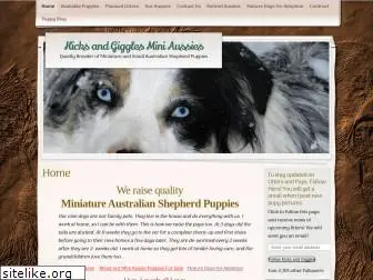 kicksandgigglesminiaussies.com