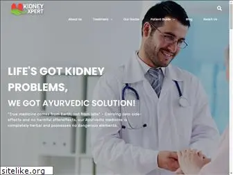 kidneyxpert.com
