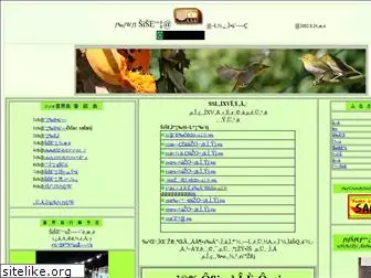 kikaijima.com