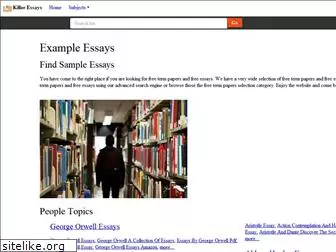 killer-essays.com