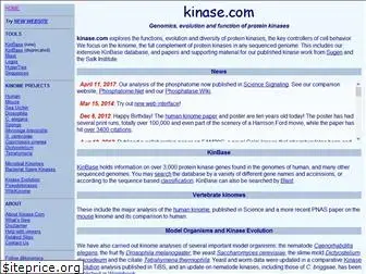 kinase.com