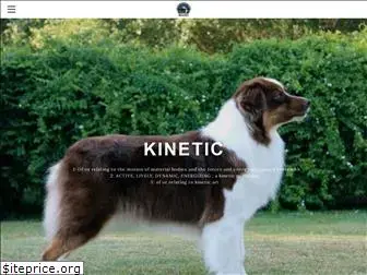 kineticaussies.com